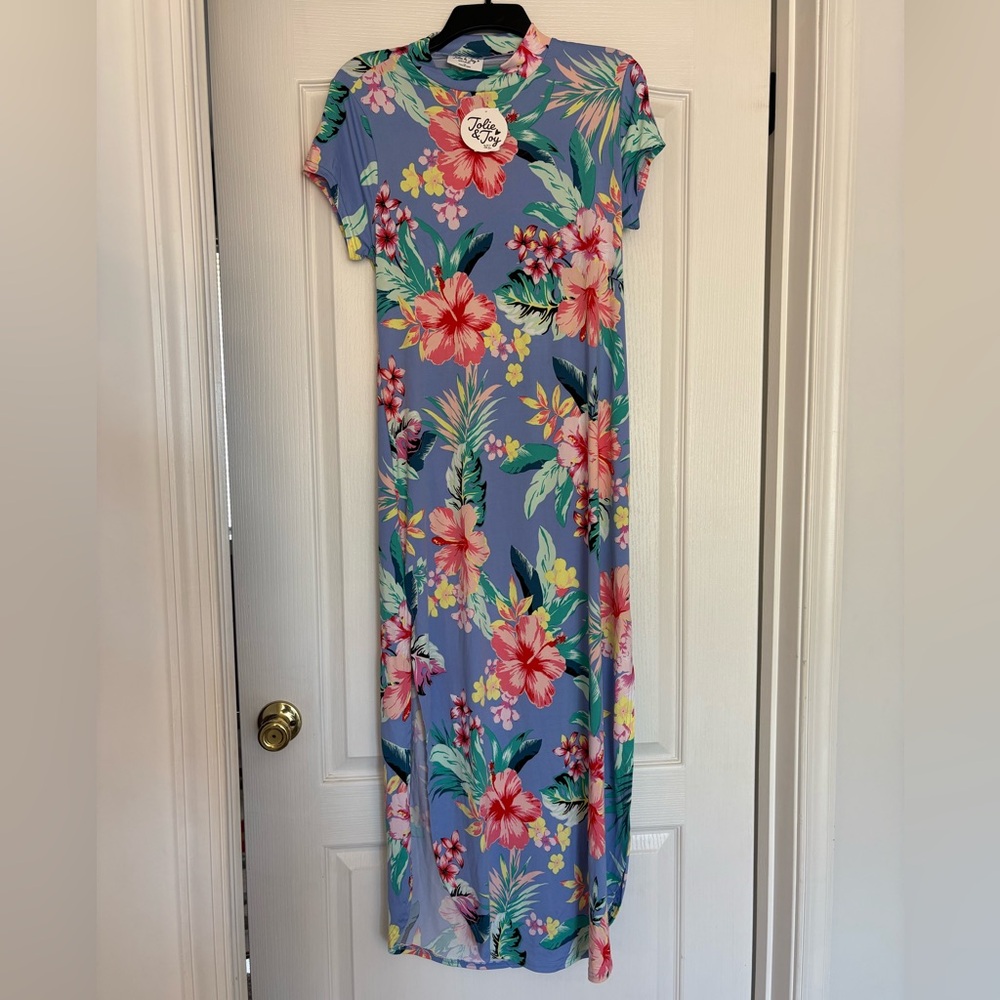 Floral Maxi Dress in Blue and Pink XL